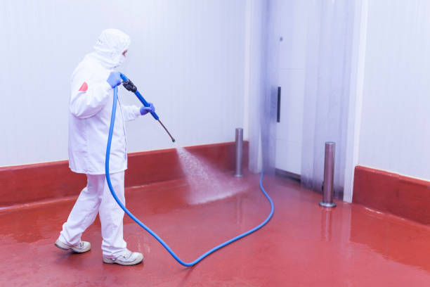 Best Solar Panel Cleaning  in Bratenahl, OH
